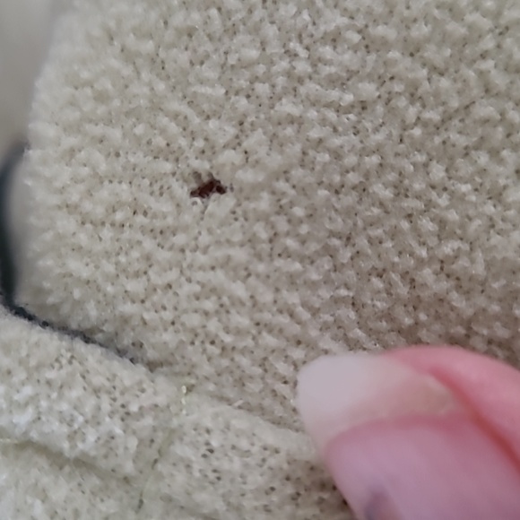 (3151) Avalanche performance, Women's Jacket, Size M, Light green, - Picture 12 of 12